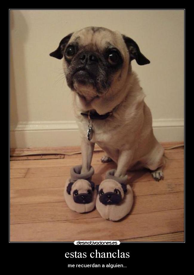 estas chanclas -
