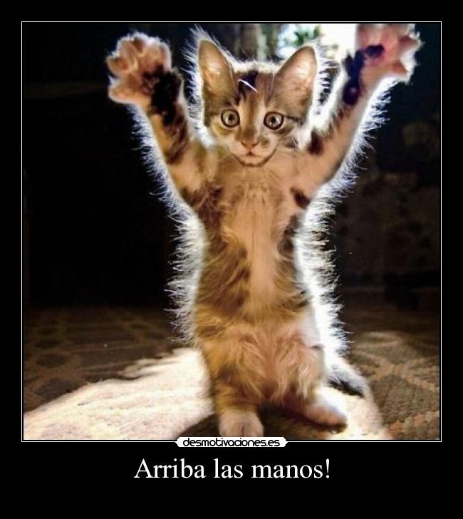 Arriba las manos! - 