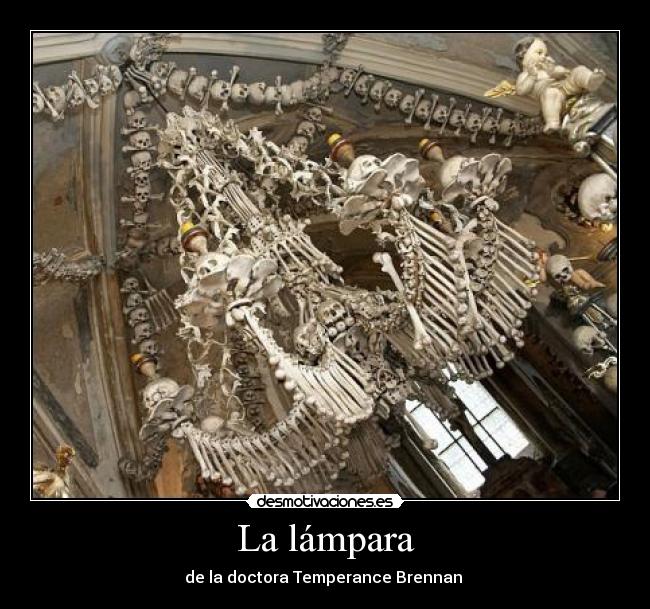 carteles lampara desmotivaciones