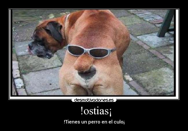  !ostias¡ - 