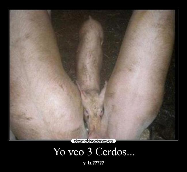 Yo veo 3 Cerdos... - 