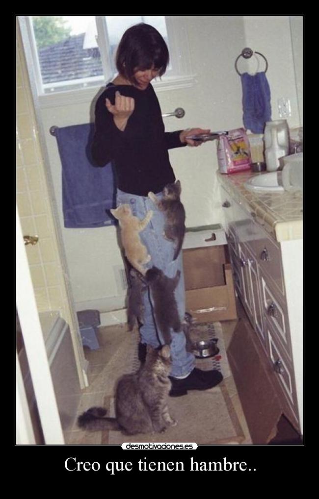 Creo que tienen hambre.. -