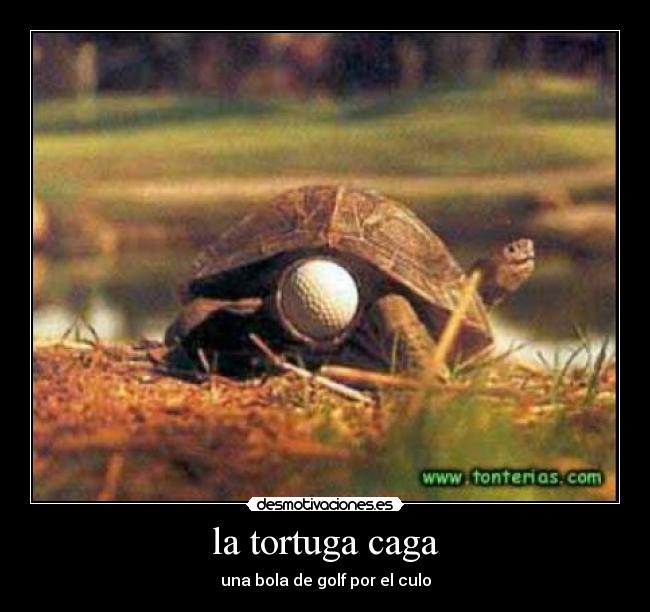 la tortuga caga - una bola de golf por el culo