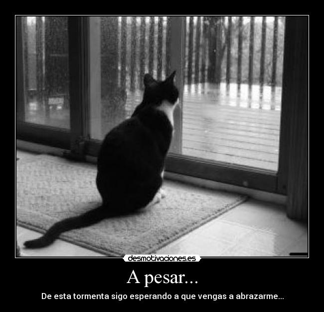 A pesar... -