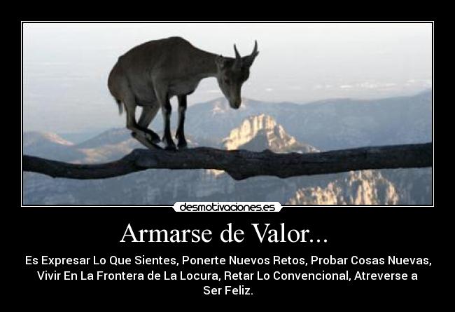 Armarse de Valor... -