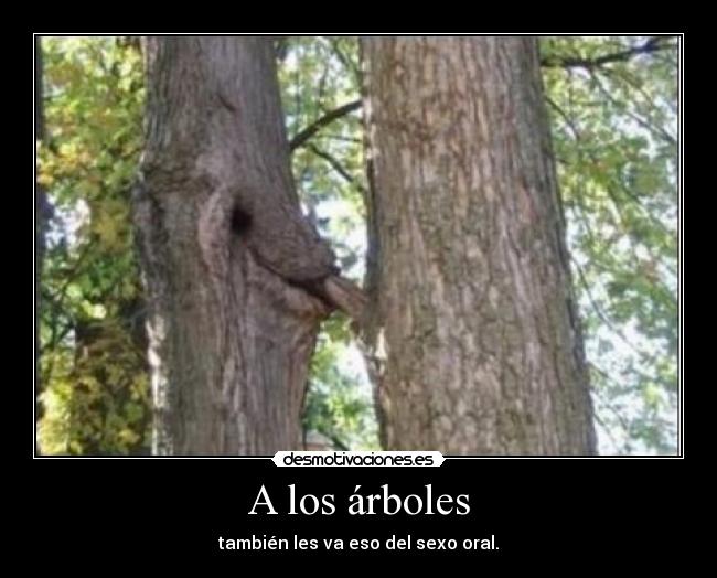 A los árboles - 