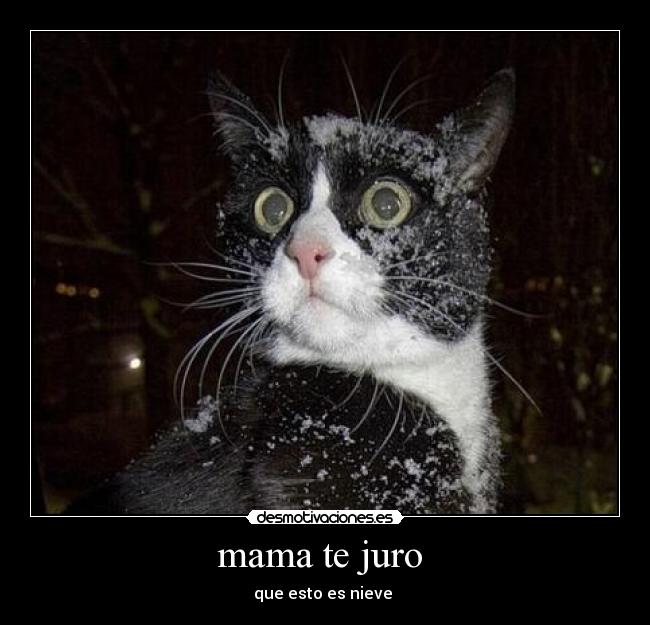 mama te juro - que esto es nieve