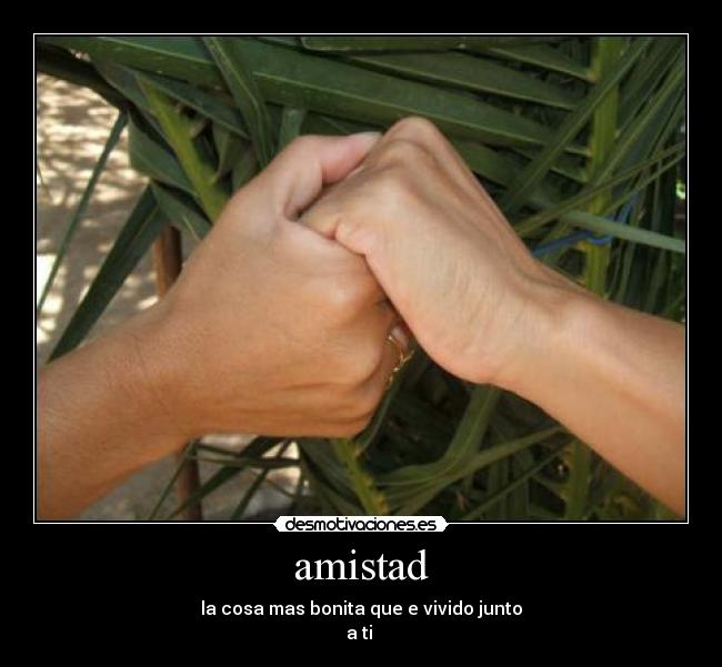 amistad - la cosa mas bonita que e vivido junto
a ti