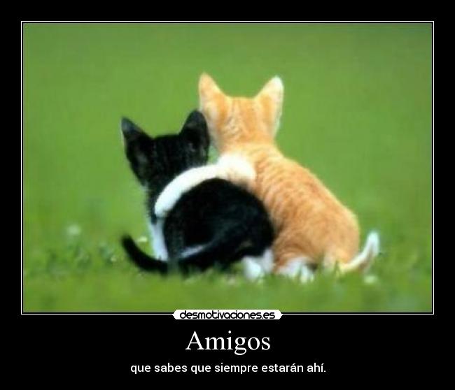 Amigos - 