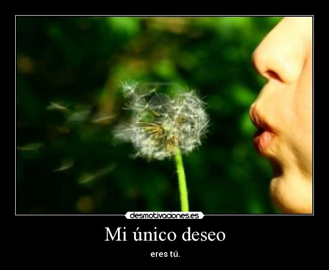 Mi único deseo - eres tú.