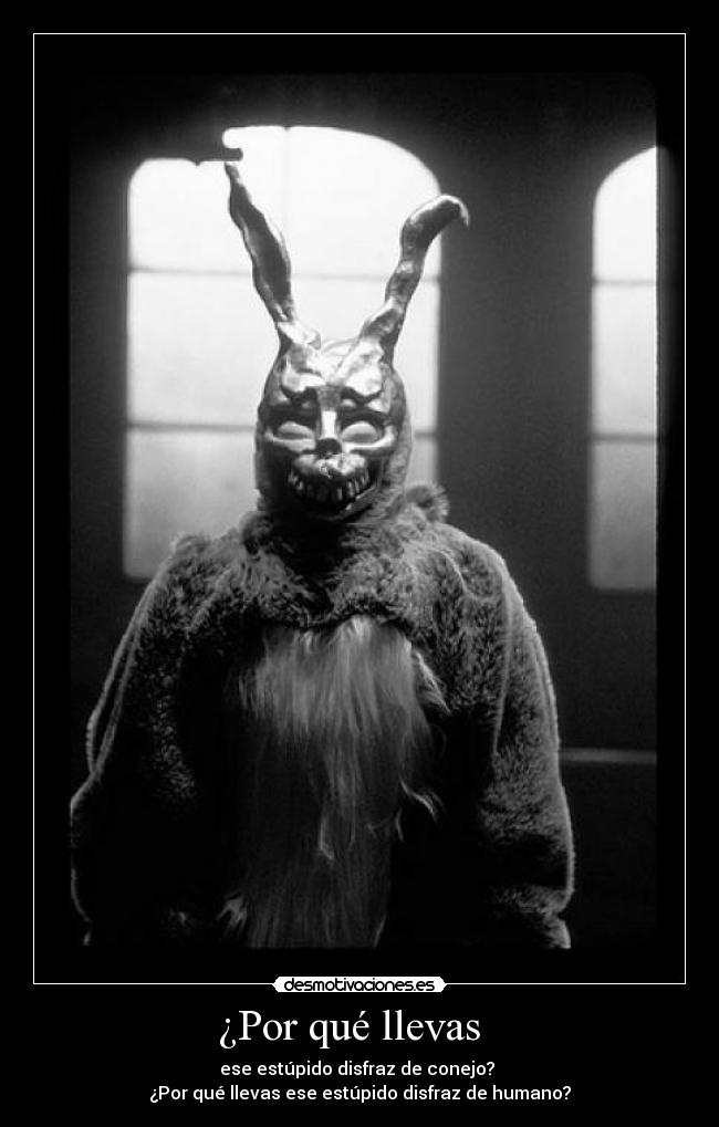 ¿Por qué llevas - ese estúpido disfraz de conejo?
¿Por qué llevas ese estúpido disfraz de humano?
