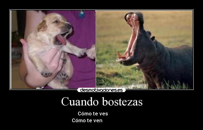 Cuando bostezas -