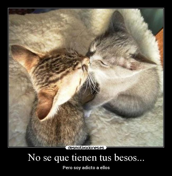 No se que tienen tus besos... - 