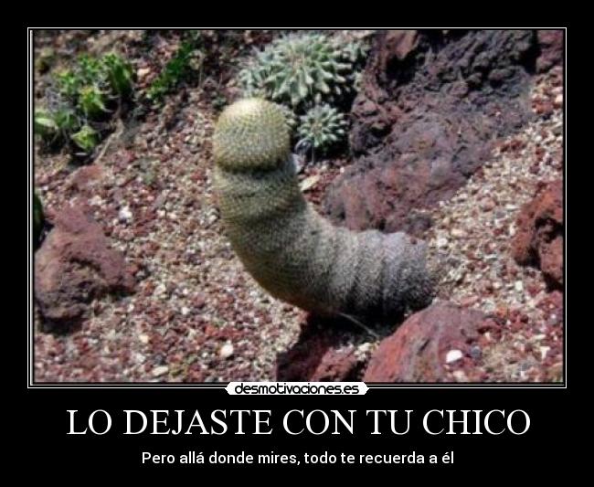 LO DEJASTE CON TU CHICO - Pero allá donde mires, todo te recuerda a él