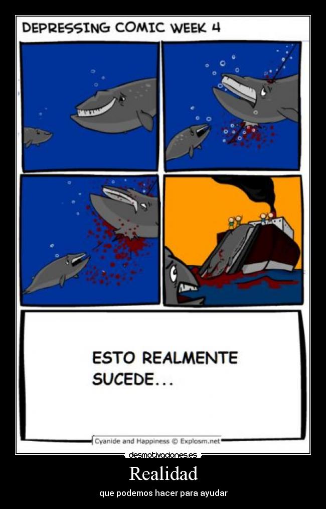 Realidad - que podemos hacer para ayudar