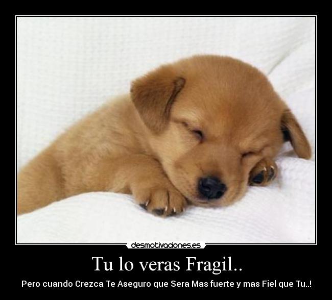 Tu lo veras Fragil.. - Pero cuando Crezca Te Aseguro que Sera Mas fuerte y mas Fiel que Tu..!