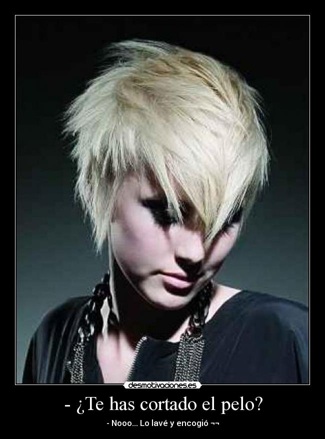 - ¿Te has cortado el pelo? - - Nooo... Lo lavé y encogió ¬¬