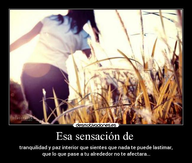 Esa sensación de  - tranquilidad y paz interior que sientes que nada te puede lastimar,
que lo que pase a tu alrededor no te afectara...