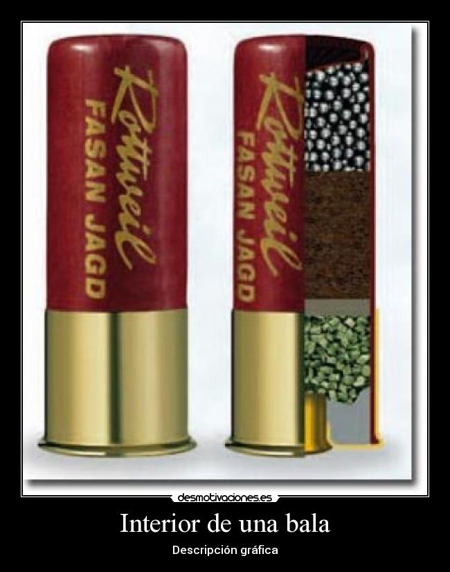 Interior de una bala - Descripción gráfica