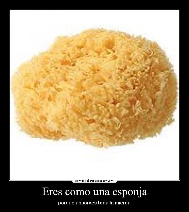 Eres como una esponja - porque absorves toda la mierda.