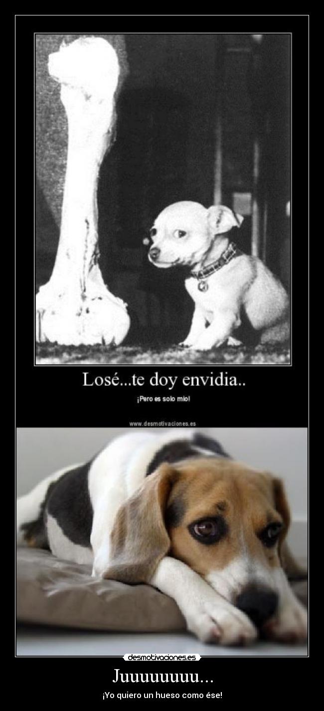 Juuuuuuuu... - ¡Yo quiero un hueso como ése!