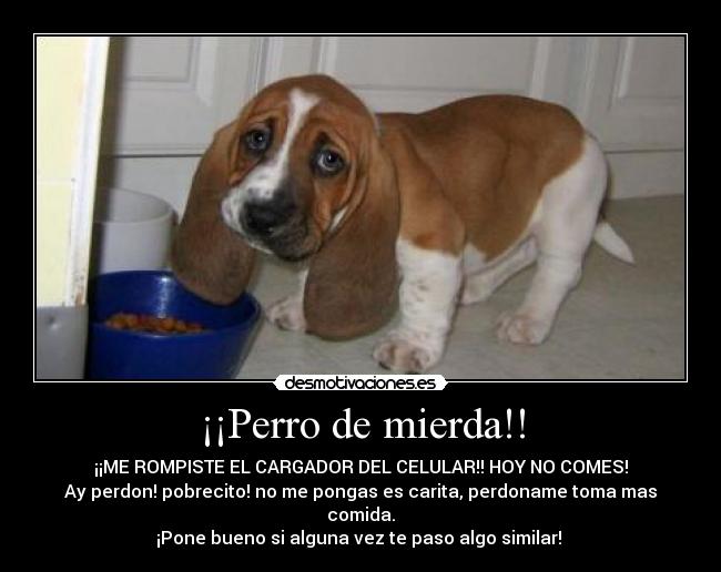 carteles perro lol desmotivaciones