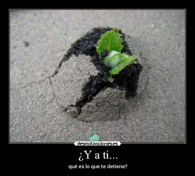 ¿Y a ti... -