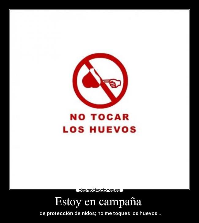 Estoy en campaña  - 