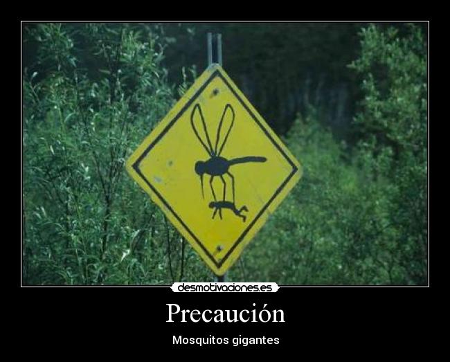 Precaución - Mosquitos gigantes