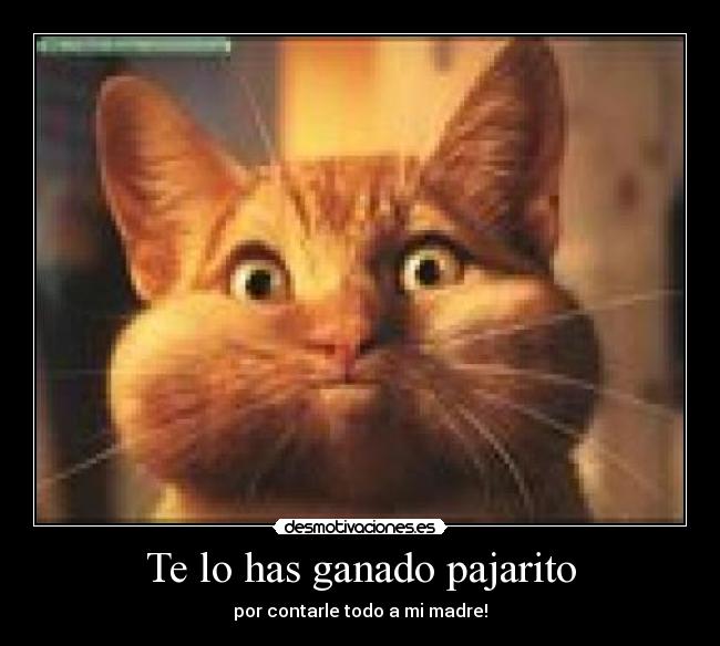 Te lo has ganado pajarito -