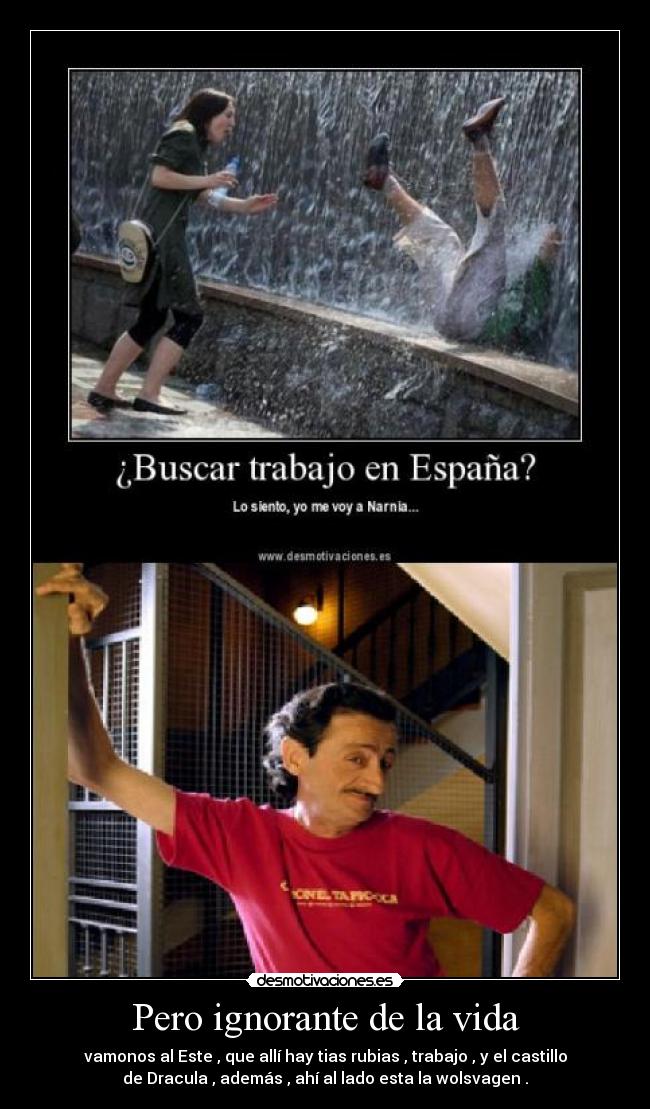 Pero ignorante de la vida -