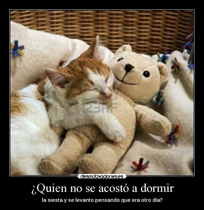 ¿Quien no se acostó a dormir - 