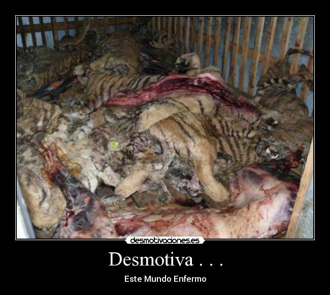 Desmotiva . . . - 
