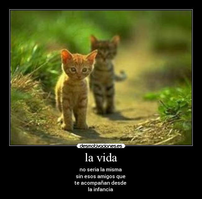 la vida -
