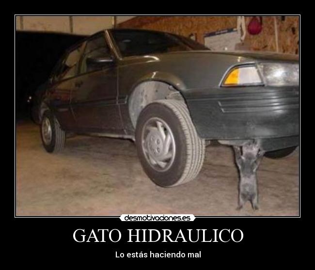 GATO HIDRAULICO - Lo estás haciendo mal