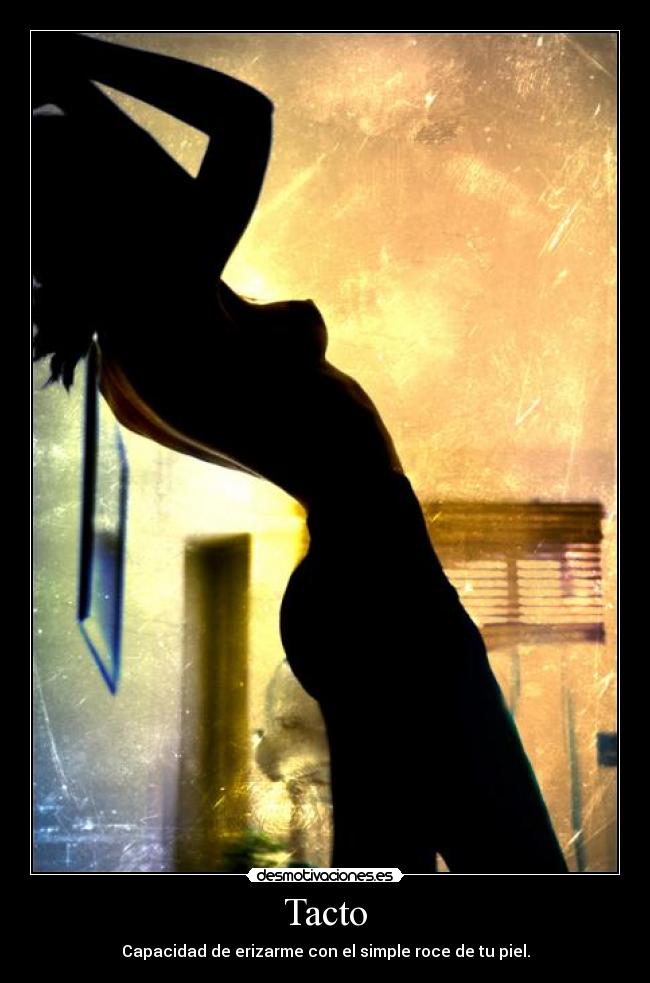 Tacto - 