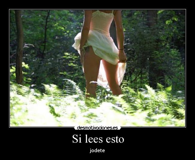 Si lees esto - 