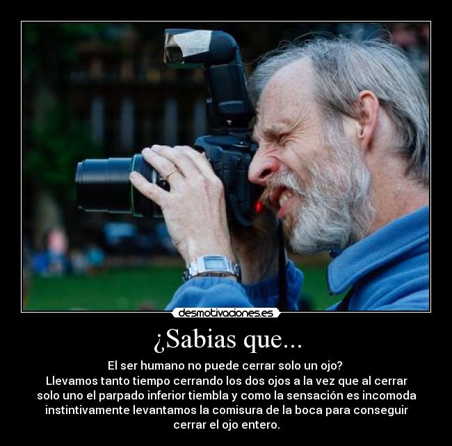 ¿Sabias que... - El ser humano no puede cerrar solo un ojo? 
Llevamos tanto tiempo cerrando los dos ojos a la vez que al cerrar
solo uno el parpado inferior tiembla y como la sensación es incomoda
instintivamente levantamos la comisura de la boca para conseguir
cerrar el ojo entero.