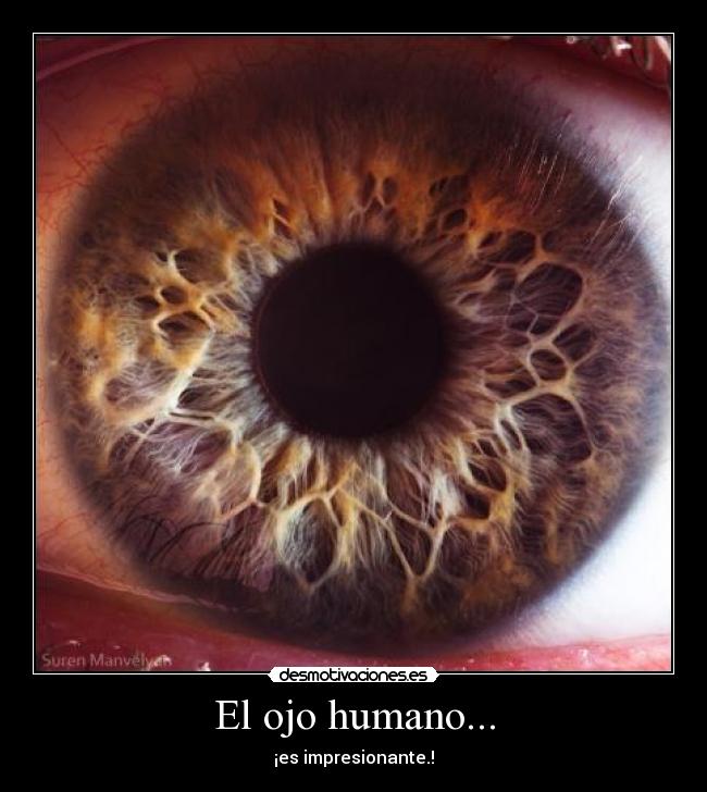 El ojo humano... - ¡es impresionante.!
