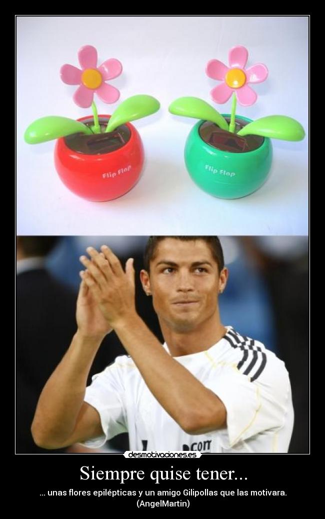 Siempre quise tener... - ... unas flores epilépticas y un amigo Gilipollas que las motivara.
(AngelMartin)