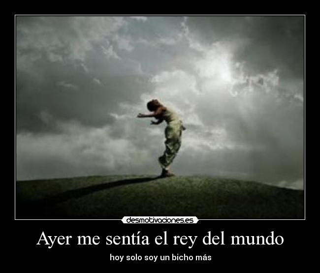 Ayer me sentía el rey del mundo - hoy solo soy un bicho más