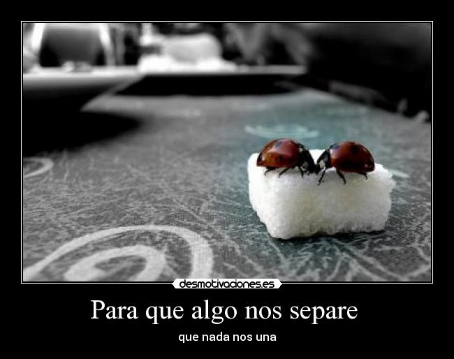 carteles judith romero desmotivaciones