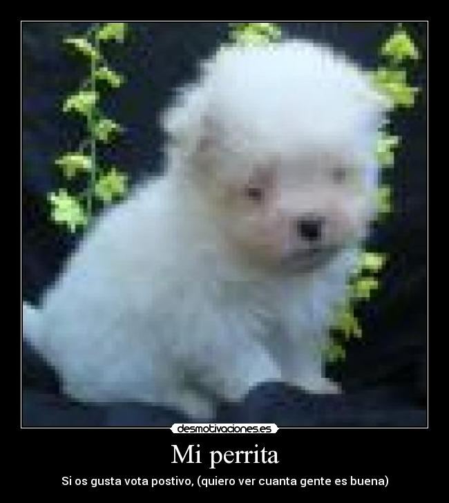 Mi perrita - Si os gusta vota postivo, (quiero ver cuanta gente es buena)