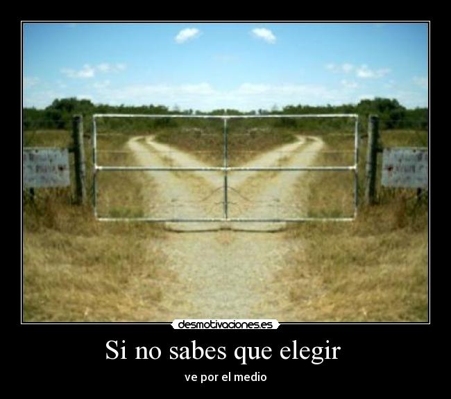 Si no sabes que elegir -