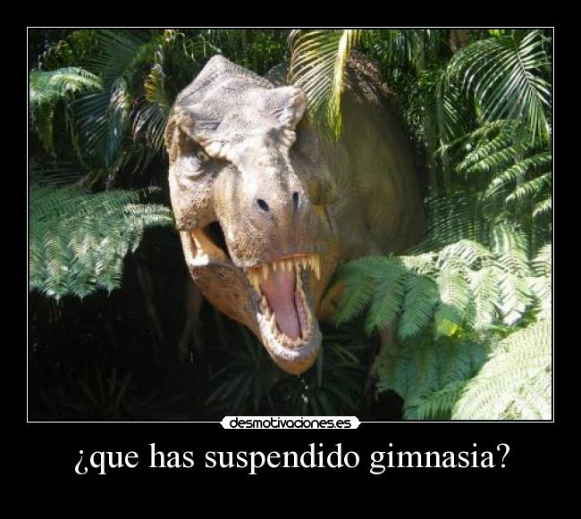 ¿que has suspendido gimnasia? -