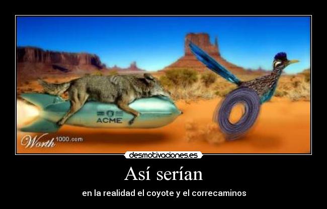 Así serían - en la realidad el coyote y el correcaminos