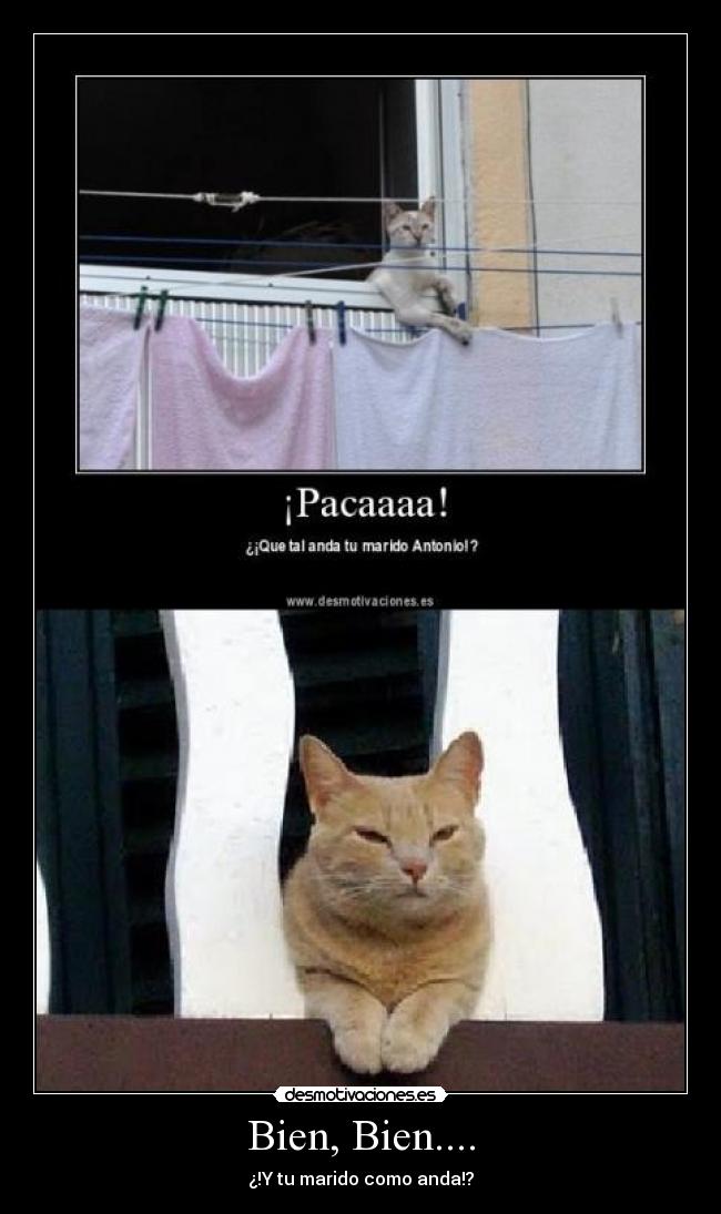 Bien, Bien.... - ¿!Y tu marido como anda!?
