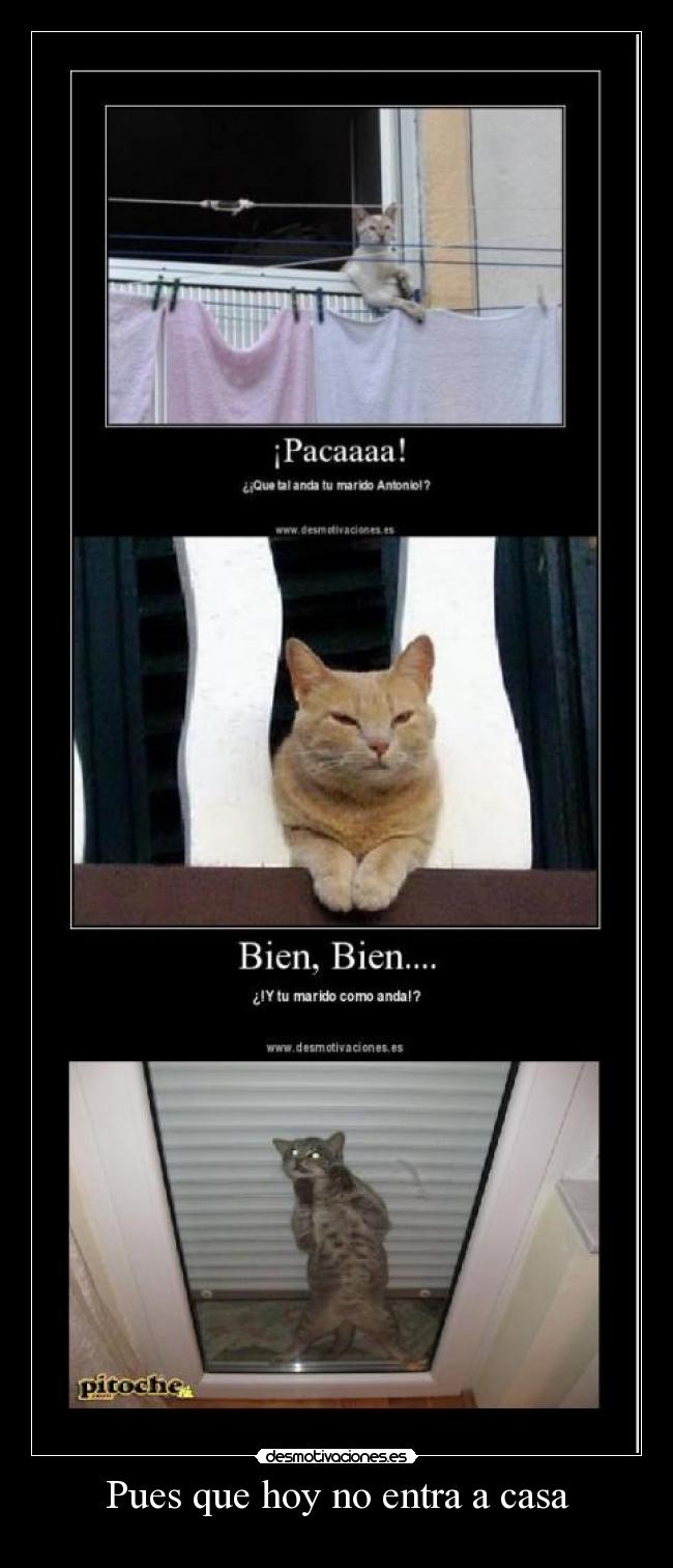 Pues que hoy no entra a casa - 