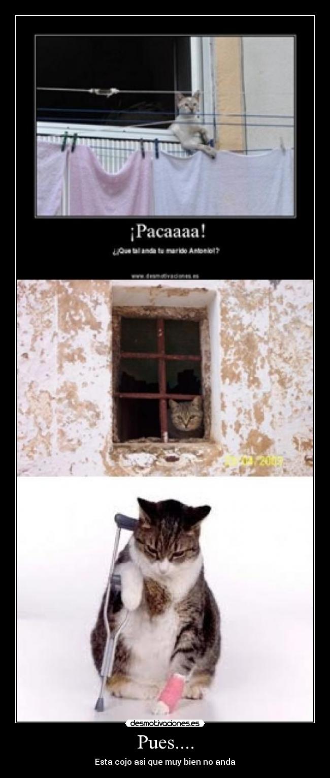 Pues.... - Esta cojo asi que muy bien no anda