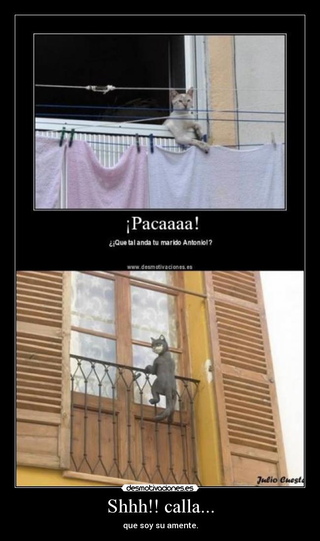 Shhh!! calla... - que soy su amente.